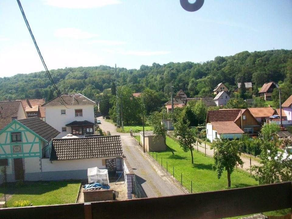 Gite Le Jardin De Hermolsheim. Alsace Tres Spacieux Mutzig Dış mekan fotoğraf
