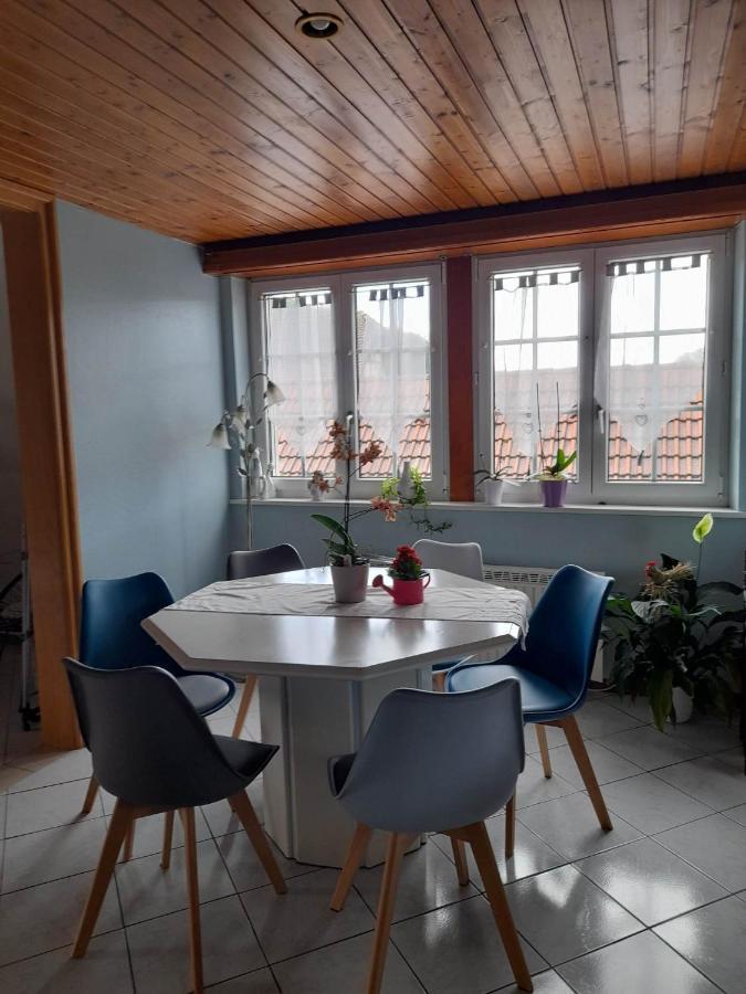 Gite Le Jardin De Hermolsheim. Alsace Tres Spacieux Mutzig Dış mekan fotoğraf