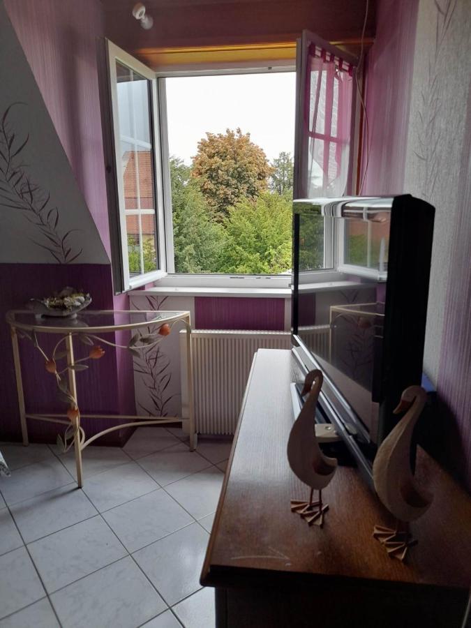 Gite Le Jardin De Hermolsheim. Alsace Tres Spacieux Mutzig Dış mekan fotoğraf