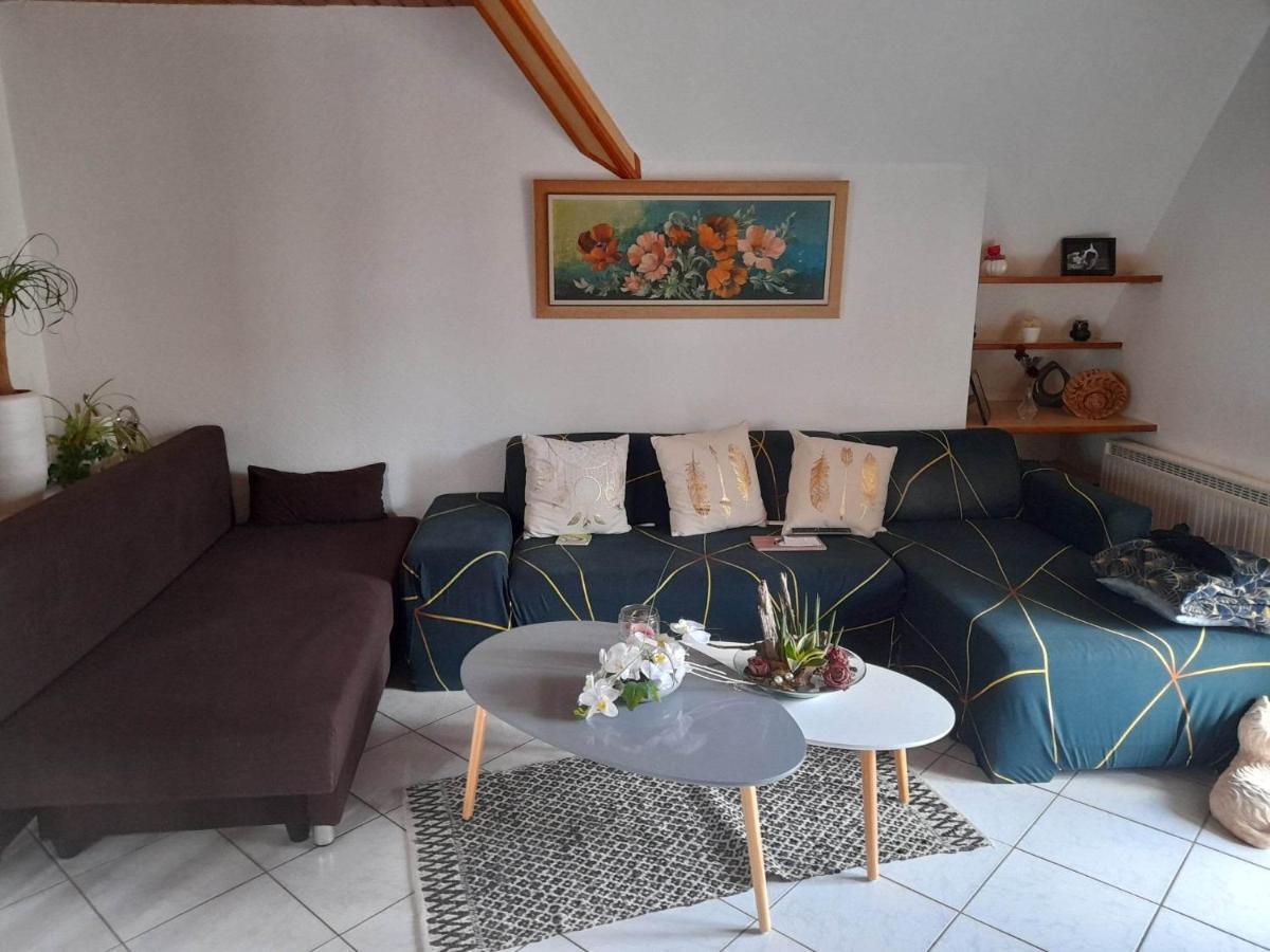 Gite Le Jardin De Hermolsheim. Alsace Tres Spacieux Mutzig Dış mekan fotoğraf