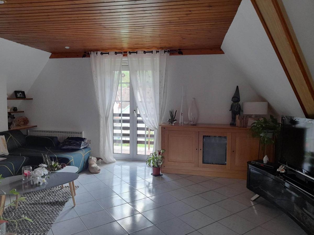Gite Le Jardin De Hermolsheim. Alsace Tres Spacieux Mutzig Dış mekan fotoğraf